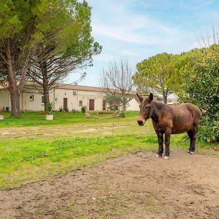 Holiday home Maison Marquet *